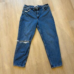 Abercrombie & Fitch Womens Jeans "The Mom" High Rise Curve Love